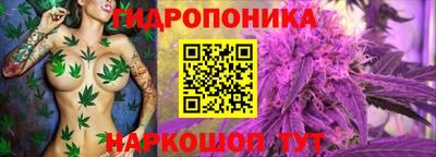 mdma Кудрово